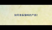 如何准备猫咪的产房