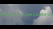 狗狗疫苗必须肌肉注射吗肌肉注射疫苗的原理与注意事项全