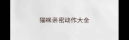 猫咪亲密动作大全