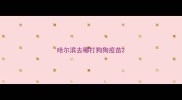 哈尔滨去哪打狗狗疫苗