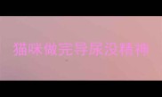 猫咪做完导尿没精神