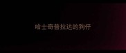 哈士奇普拉达的狗仔