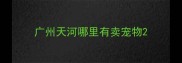 广州天河哪里有卖宠物