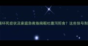 猫咪肠坏死症状及家庭急救指南呕吐腹泻拒食这些信号别错过
