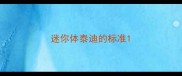 迷你体泰迪的标准