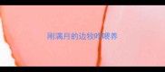 刚满月的边牧咋喂养