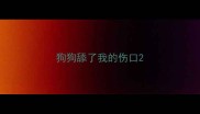 狗狗舔了我的伤口