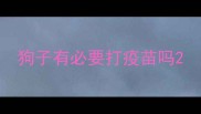 狗子有必要打疫苗吗