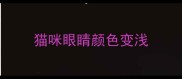 猫咪眼睛颜色变浅