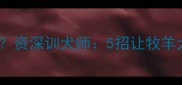 边牧的毛好打理吗资深训犬师5招让牧羊犬毛发顺滑如绸缎