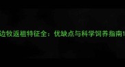 边牧返祖特征全优缺点与科学饲养指南