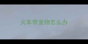 火车带宠物怎么办
