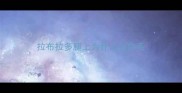 拉布拉多腿上为什么长白毛