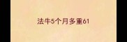 法牛5个月多重6
