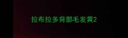 拉布拉多背部毛发黄