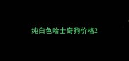 纯白色哈士奇狗价格