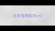 北京宠物医院ct