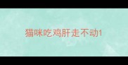 猫咪吃鸡肝走不动