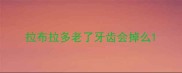拉布拉多老了牙齿会掉么