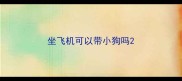 坐飞机可以带小狗吗