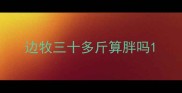 边牧三十多斤算胖吗