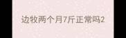 边牧两个月7斤正常吗
