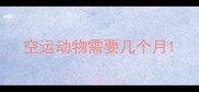 空运动物需要几个月
