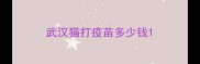 武汉猫打疫苗多少钱