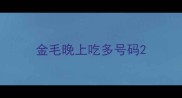 金毛晚上吃多号码