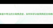 养宠家庭中常见的分离焦虑症如何科学训练狗狗视觉依赖行为