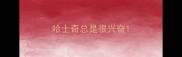 哈士奇总是很兴奋