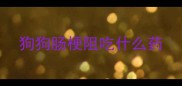 狗狗肠梗阻吃什么药