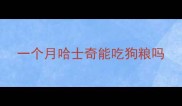 一个月哈士奇能吃狗粮吗