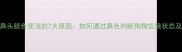 拉布拉多鼻头颜色变浅的7大原因如何通过鼻色判断狗狗饥饿状态及饲养指南