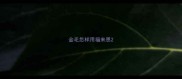 金毛怎样用福来恩