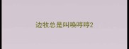 边牧总是叫唤哼哼