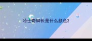 哈士奇脚长是什么颜色