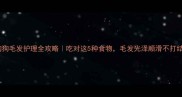 狗狗毛发护理全攻略吃对这5种食物毛发光泽顺滑不打结