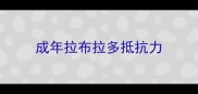 成年拉布拉多抵抗力