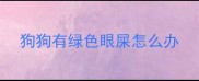 狗狗有绿色眼屎怎么办