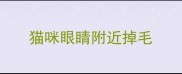 猫咪眼睛附近掉毛