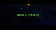 猫咪夜间也要喂食