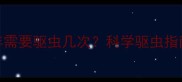 成年泰迪犬一年需要驱虫几次科学驱虫指南与常见误区全
