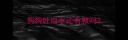 狗狗吐血水还有救吗