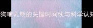 母狗哺乳期的关键时间线与科学认知