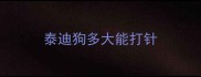 泰迪狗多大能打针