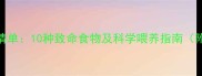 哈士奇禁食清单10种致命食物及科学喂养指南附急救措施