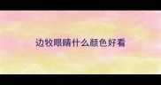 边牧眼睛什么颜色好看