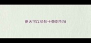 夏天可以给哈士奇剃毛吗