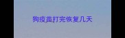 狗疫苗打完恢复几天